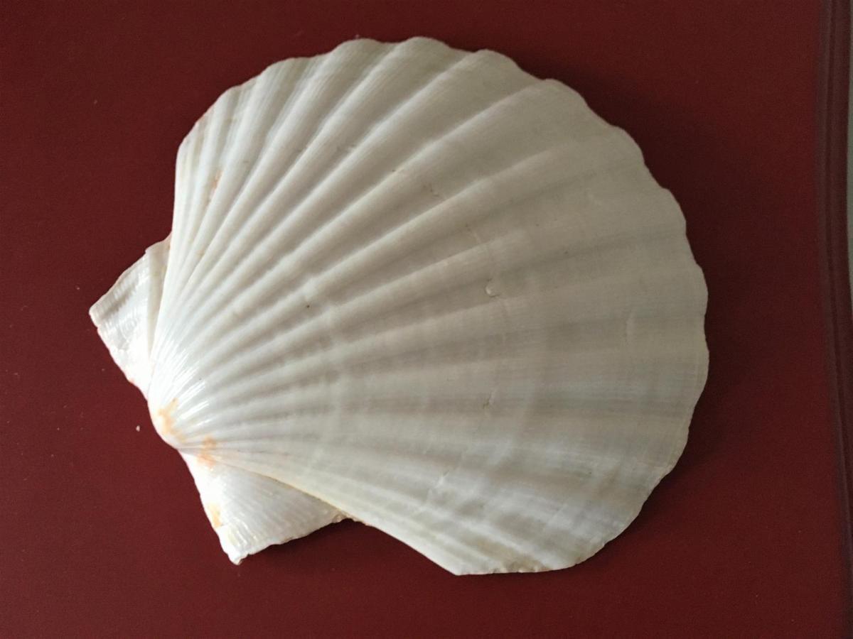 Fischerhus Luett Hauke 69 Qm Traudel Altwarp Εξωτερικό φωτογραφία